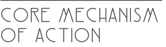 Core Mechanism of Action